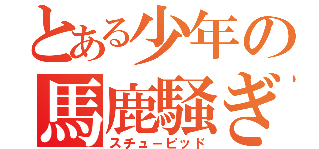 とある少年の馬鹿騒ぎ（スチューピッド）