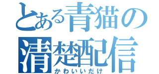 とある青猫の清楚配信（かわいいだけ）