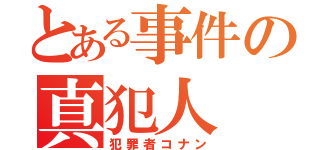 とある事件の真犯人（犯罪者コナン）