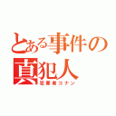 とある事件の真犯人（犯罪者コナン）