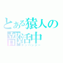 とある猿人の部活中（チンパンジー）