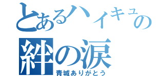 とあるハイキュー部の絆の涙（青城ありがとう）