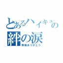 とあるハイキュー部の絆の涙（青城ありがとう）