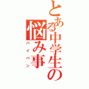 とある中学生の悩み事（パイパン）