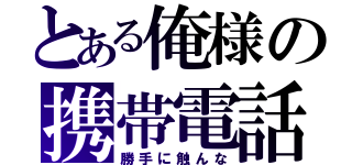 とある俺様の携帯電話（勝手に触んな）