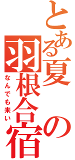 とある夏の羽根合宿（なんでも来い）