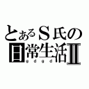 とあるＳ氏の日常生活Ⅱ（ｇｄｇｄ）