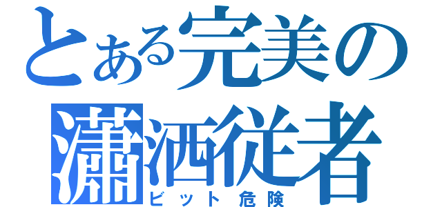 とある完美の瀟洒従者（ビット危険）