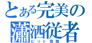 とある完美の瀟洒従者（ビット危険）