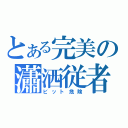 とある完美の瀟洒従者（ビット危険）