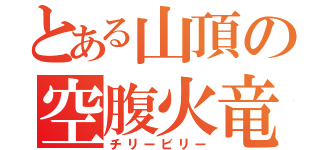 とある山頂の空腹火竜（チリービリー）