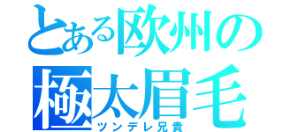 とある欧州の極太眉毛（ツンデレ兄貴）