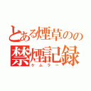 とある煙草のの禁煙記録（ケムラー）