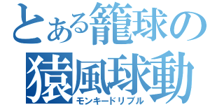 とある籠球の猿風球動（モンキードリブル）