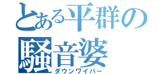 とある平群の騒音婆（ダウンワイパー）