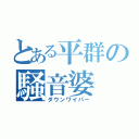 とある平群の騒音婆（ダウンワイパー）