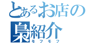 とあるお店の梟紹介（モフモフ）