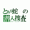 とある蛇の潜入捜査 Ⅴ（スニーニング）