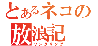 とあるネコの放浪記（ワンダリング）