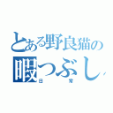 とある野良猫の暇つぶし（日常）