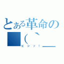 とある革命の＿（｀＿´）ゞ（ビシッ！）