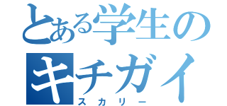 とある学生のキチガイ（スカリー）