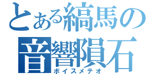 とある縞馬の音響隕石（ボイスメテオ）