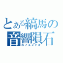 とある縞馬の音響隕石（ボイスメテオ）