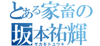 とある家畜の坂本祐輝（サカモトユウキ）