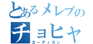 とあるメレブのチョヒャド（カーディガン）