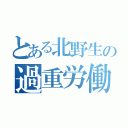 とある北野生の過重労働（）