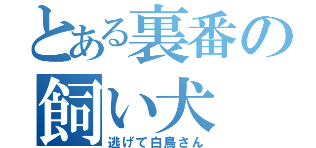 とある裏番の飼い犬（逃げて白鳥さん）