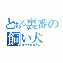 とある裏番の飼い犬（逃げて白鳥さん）