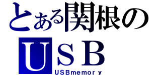 とある関根のＵＳＢ（ＵＳＢｍｅｍｏｒｙ）