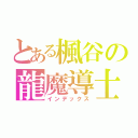 とある楓谷の龍魔導士（インデックス）