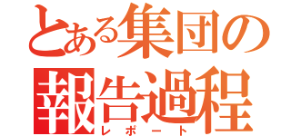 とある集団の報告過程（レポート）