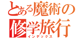 とある魔術の修学旅行のしおり（インデックス）