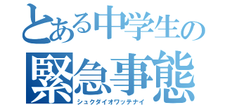 とある中学生の緊急事態（シュクダイオワッテナイ）