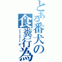 とある番犬の食糞行為（スカトロタイム（笑））