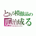 とある模倣品の瓜治成る（国連の敵国日本は泣き寝入り）