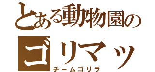 とある動物園のゴリマッチョ（チームゴリラ）