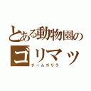 とある動物園のゴリマッチョ（チームゴリラ）