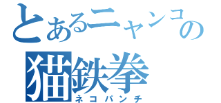 とあるニャンコの猫鉄拳（ネコパンチ）