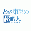 とある東栄の超暇人（だァホの坂田）