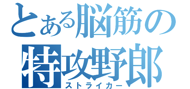 とある脳筋の特攻野郎（ストライカー）