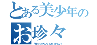 とある美少年のお珍々（「触ってみたい」と思いません？）