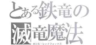 とある鉄竜の滅竜魔法（ガジル・レッドフォックス）