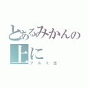 とあるみかんの上に（アルミ缶）