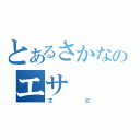 とあるさかなのエサ（エビ）