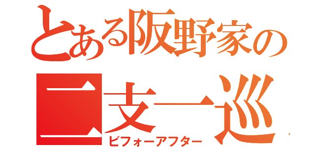 とある阪野家の二支一巡（ビフォーアフター）